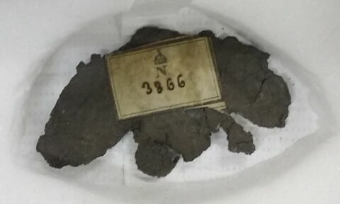 applique ; pectoral, image 2/2