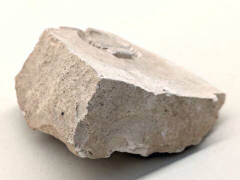 moule d'orfèvre ; chevalière, image 3/3