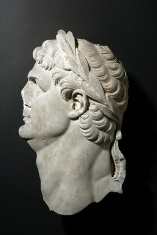 Tête masculine (Titus ?) laurée à gauche