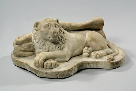 Fragment de gisant : lion avec fragment de draperie, image 3/5