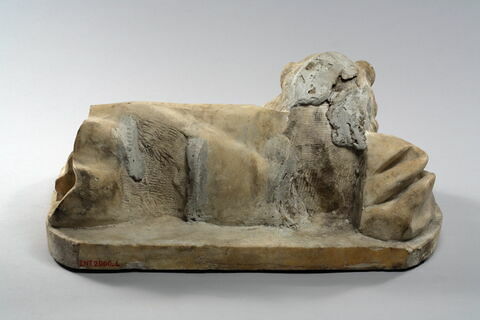 Fragment de gisant : lion avec fragment de draperie, image 5/5