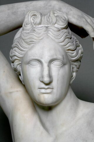 Apollino, image 4/4
