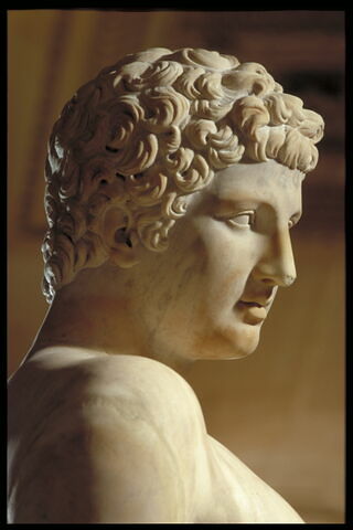 Adonis, image 4/4