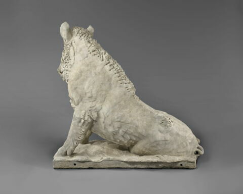 Sanglier, image 2/4