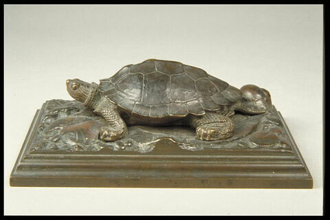 Tortue sur plinthe, image 1/4