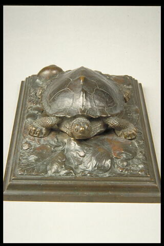 Tortue sur plinthe, image 3/4