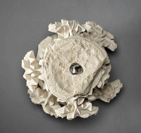 Chapiteau décoré de feuilles de lierre, image 10/11