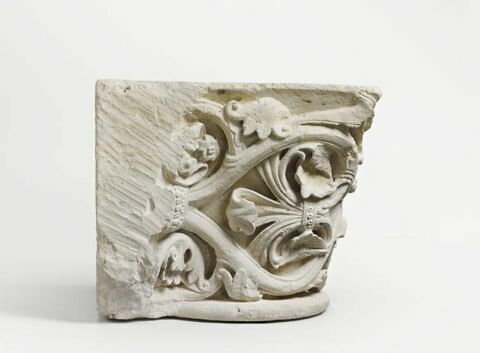 Chapiteau engagé décoré de palmettes et de rinceaux, image 5/8