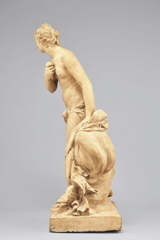Vénus, image 4/9