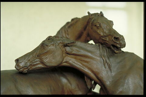 Tachiani et Nedjebe chevaux arabes, image 9/9