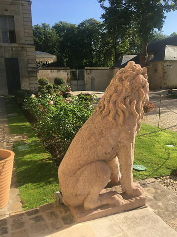 Lion, image 7/9
