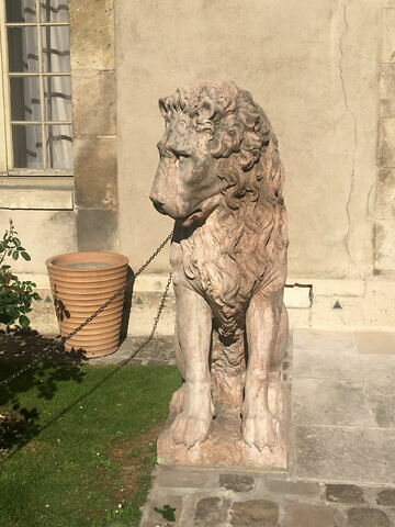 Lion, image 2/8