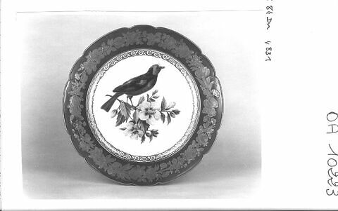 Assiette au Tangara du Brésil et à l'hibiscus, d'un ensemble (OA 10222 - OA 10225), image 4/4