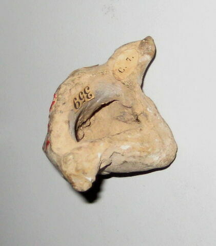 Tête de femme, image 4/4