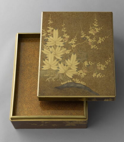 Grande boîte de forme rectangulaire : feuilles et fleur avec un plateau à l'intérieur, image 1/11