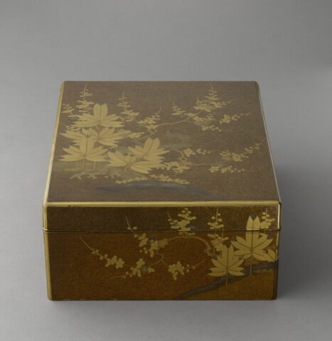 Grande boîte de forme rectangulaire : feuilles et fleur avec un plateau à l'intérieur, image 5/11