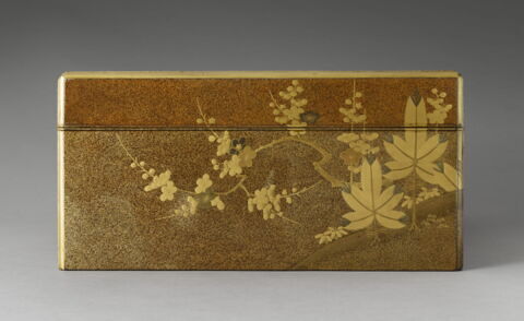 Grande boîte de forme rectangulaire : feuilles et fleur avec un plateau à l'intérieur, image 7/11