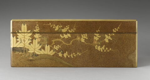Grande boîte de forme rectangulaire : feuilles et fleur avec un plateau à l'intérieur, image 8/11