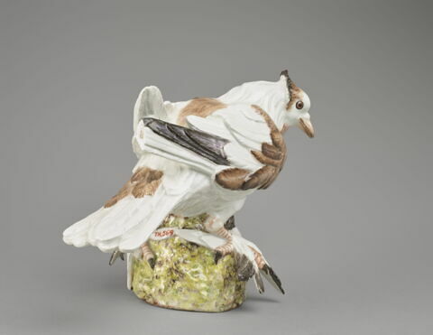 Pigeon ramier, image 3/5