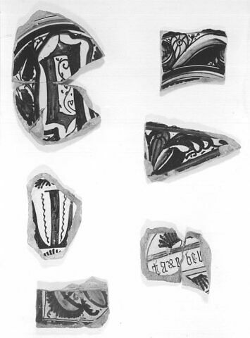 Fragment de l'aile d'un plat, image 3/3