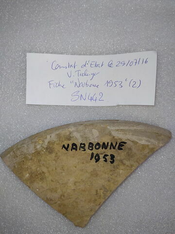 Tesson découvert au cours de fouilles à Narbonne, image 2/2