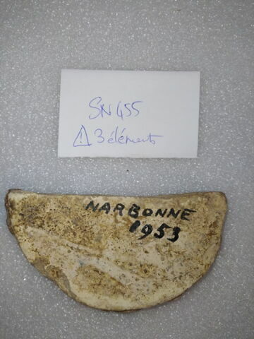 Trois tessons découverts au cours de fouilles à Narbonne, image 5/7