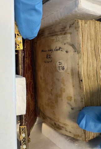 Manuscrit : Horae ad usum Romanum, dites Heures de Catherine de Médicis, image 6/43