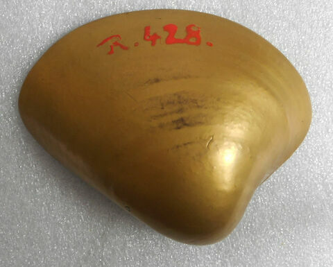 Coquille en ivoire laquée d'or (pendant du R 429), image 2/2