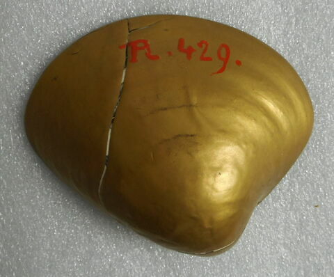 Coquille en ivoire laqué d'or (pendant du R 428), image 2/2
