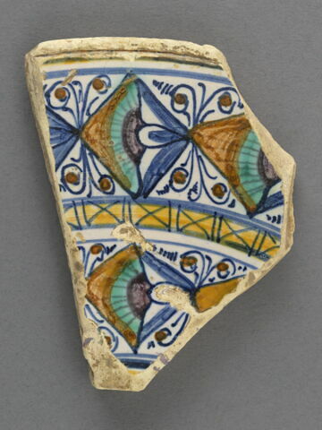 Fragment de l'aile d'un plat, image 1/3