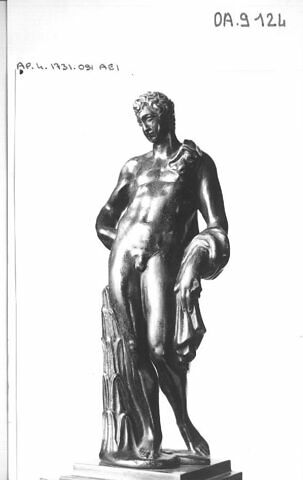 Statuette : Antinoüs du Belvedere, image 3/3