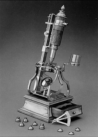 Microscope composé, image 5/7