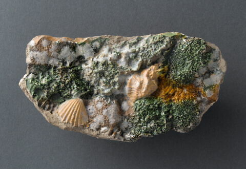 Fragment de brique : rocaille jaspée