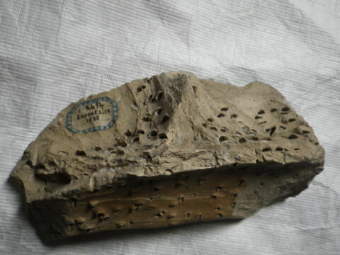 Fragment de brique : rocaille jaspée, image 3/4