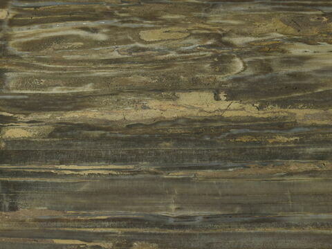 Plateau de table en bois pétrifié, d'un ensemble de quatre, image 2/2
