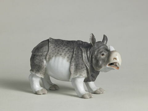 Rhinocéros, image 5/5