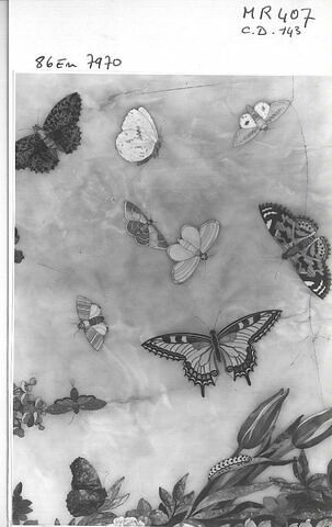 Plateau de table à décor de fleurs et papillons, image 4/6