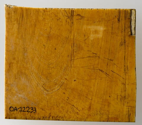 Fragment de plaque inscrite à décor de palmettes stylisées : Pusillus Froila, image 4/5