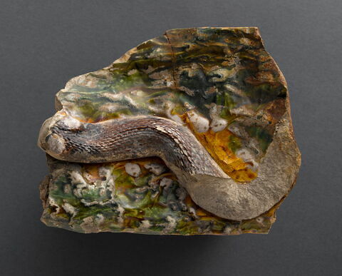 Fragment de brique : serpent, image 1/1