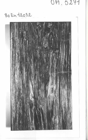 Plateau de table en bois pétrifié, d'un ensemble de quatre, image 2/2