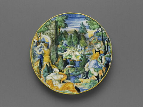 Assiette : Métabus sauvant Camille