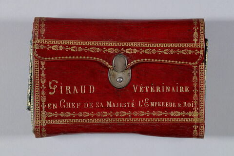 Trousse de vétérinaire de Giraud, vétérinaire en chef de sa Majesté l'Empereur