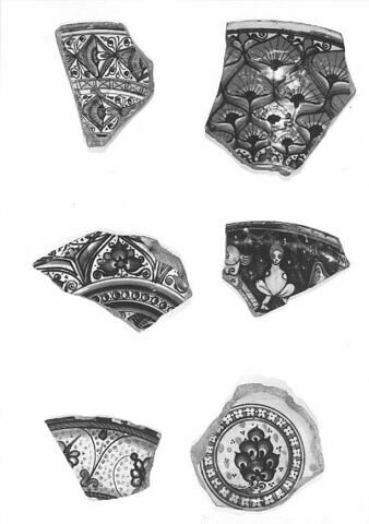 Fragment de l'aile d'un plat, image 3/3