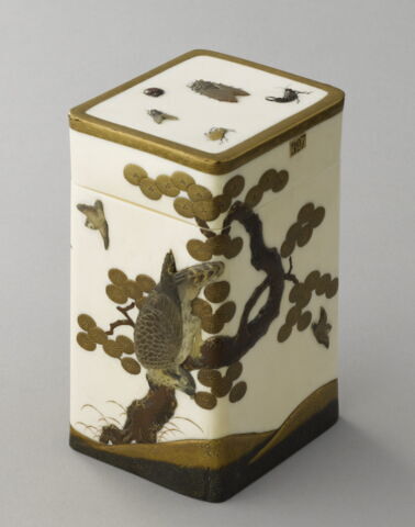 Boîte : Faucon branché, image 3/9