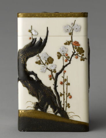 Boîte : Faucon branché, image 5/9