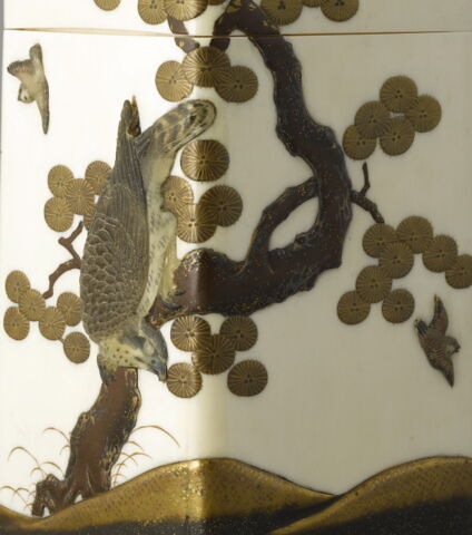 Boîte : Faucon branché, image 8/9