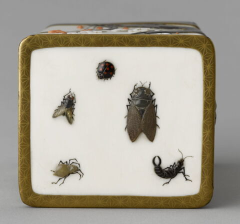 Boîte : Faucon branché, image 9/9