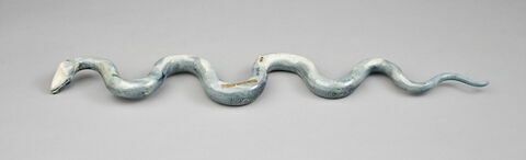 Couleuvre à collier noir, serpent, image 2/3