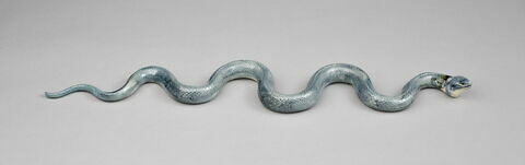 Couleuvre à collier noir, serpent, image 3/3