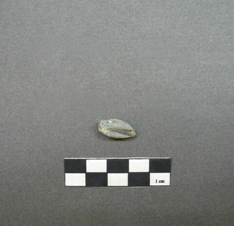 perle, image 1/1